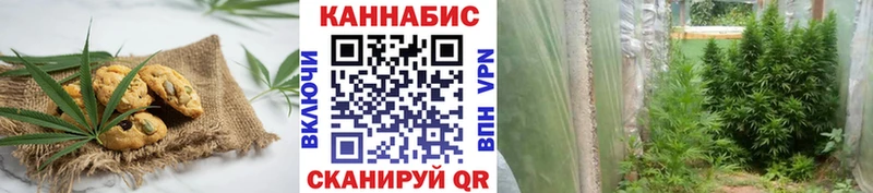 где продают   Чаплыгин  блэк спрут tor  Canna-Cookies конопля 
